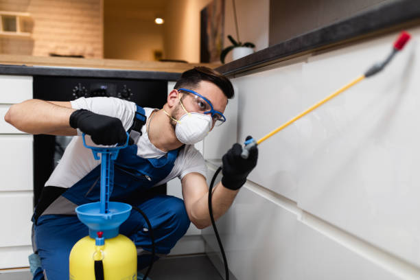 Professional Pest Control in Fort Shawnee, OH