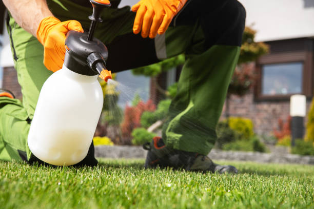Best Pest Removal Services  in Fort Shawnee, OH