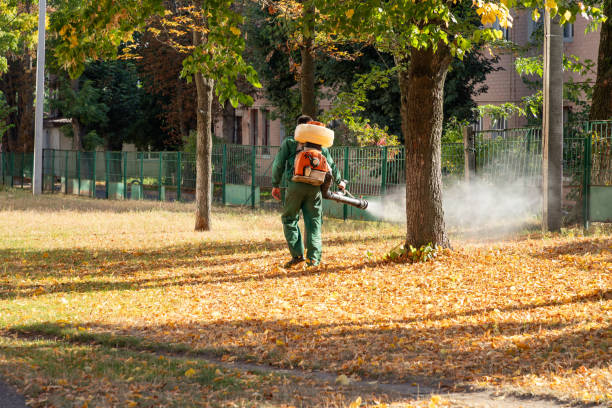 Best Pest Inspection Near Me  in Fort Shawnee, OH